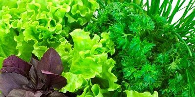 Verdes para aumentar la potencia en los hombres