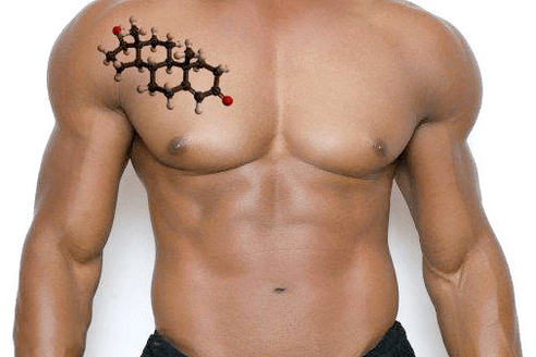 torso masculino guapo